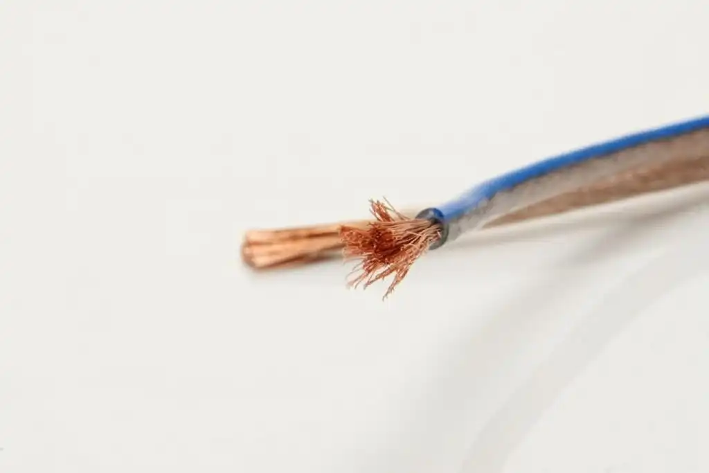 image of speaker wire with the ends cut